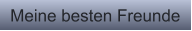 Meine besten Freunde